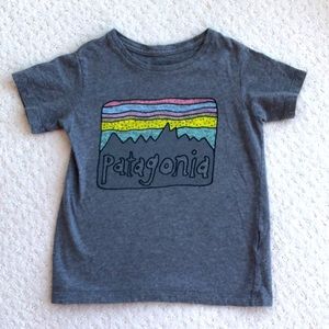 Patagonia Fitz Roy tee